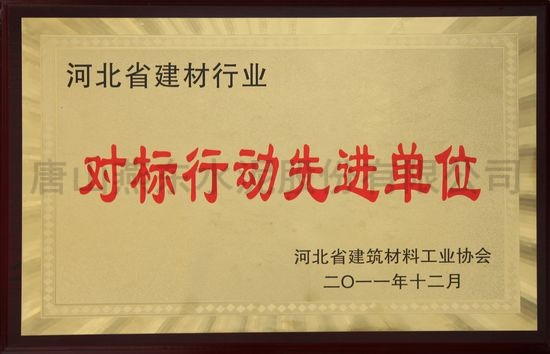 對標行動先進單位