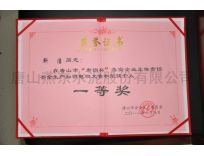 個人獲獎證書/